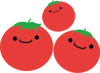 tomato